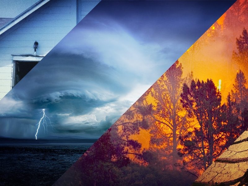 Wx Web